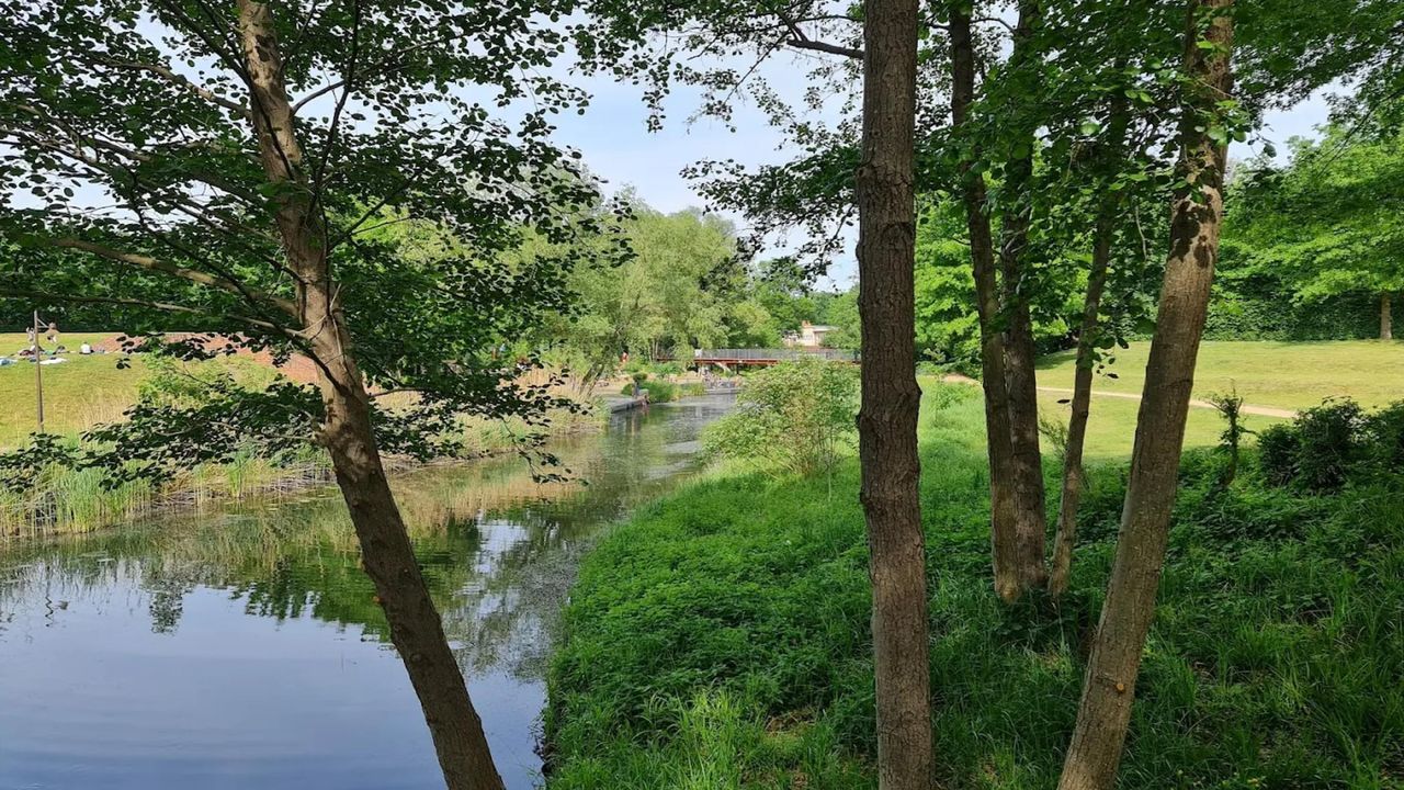 AreaSummer5KM AreaSummer5KM